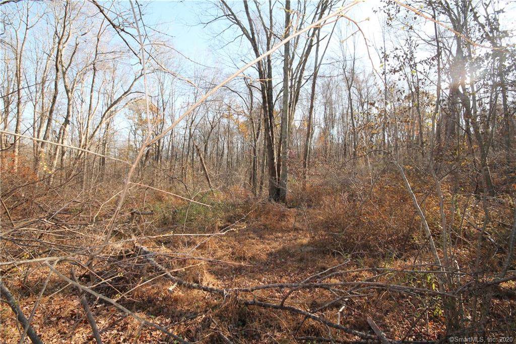 061-022 Haywardville Road - Photo 1