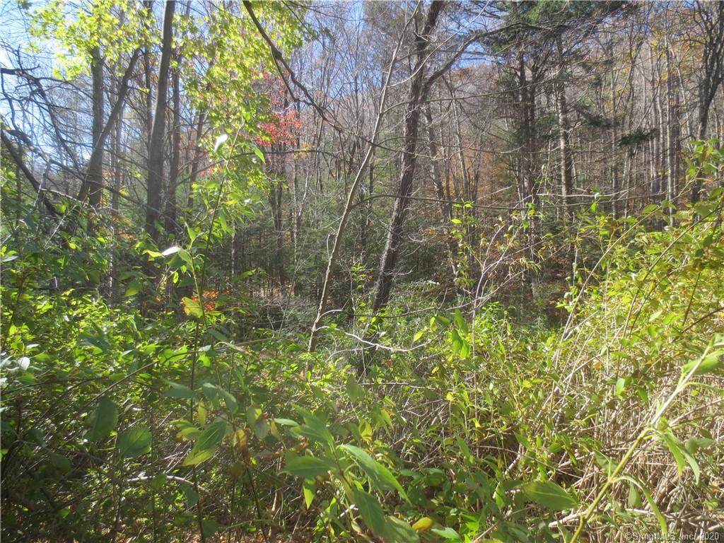 787 Norfolk Road - Photo 1
