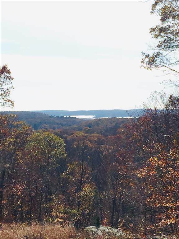 0 Brush Hill Road - Photo 1
