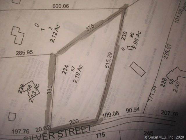 234 Silver Street - Photo 1