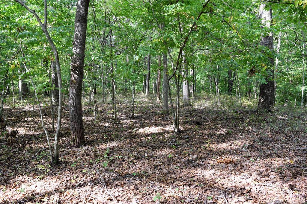 69-B Sylvan Road - Photo 1