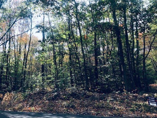 Lot 162 County Line Road - Photo 1