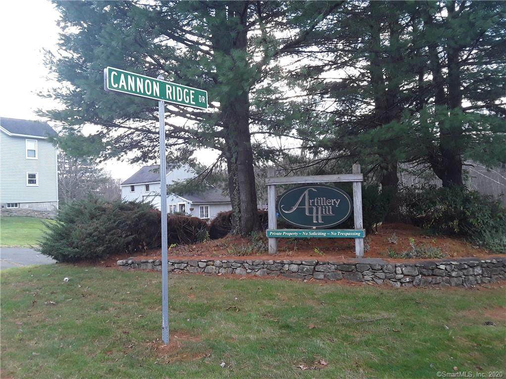 55 Cannon Ridge Drive - Photo 1