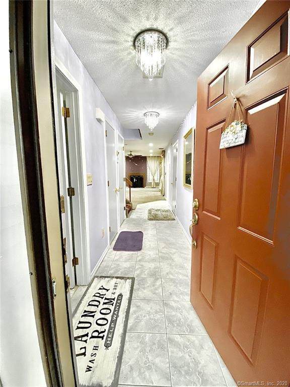 19 Copper Beech Drive - Photo 1