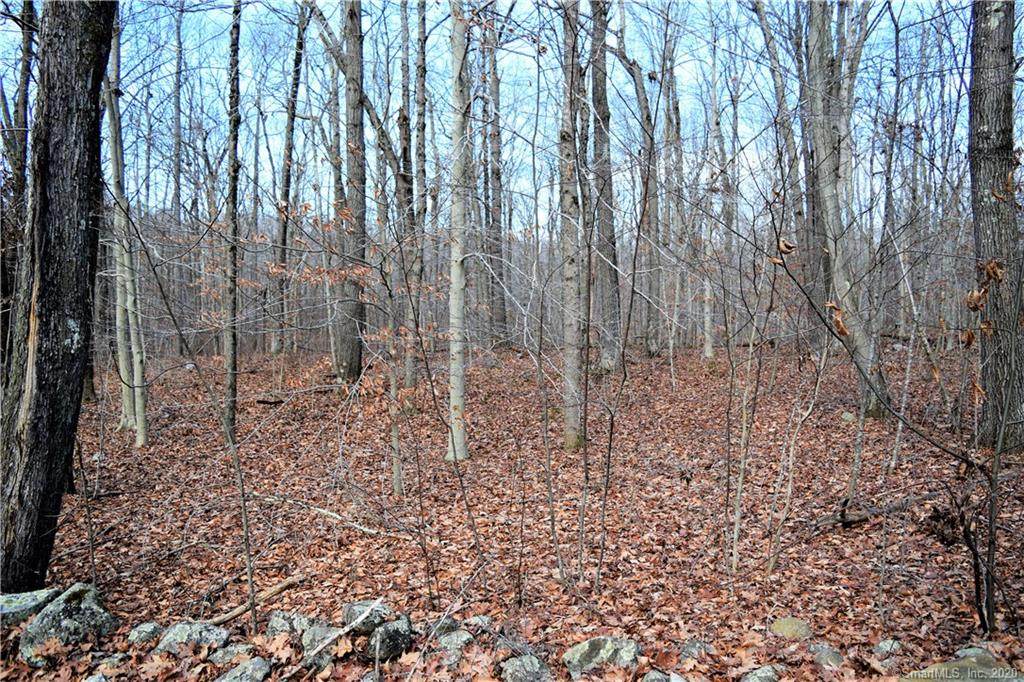 225 Parker Hill Road - Photo 1