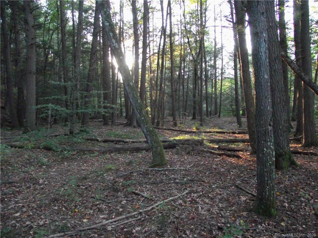 Lot 17 Shailor Hill Road - Photo 1
