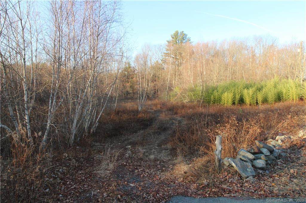 0 Lyon Hill Road - Photo 1