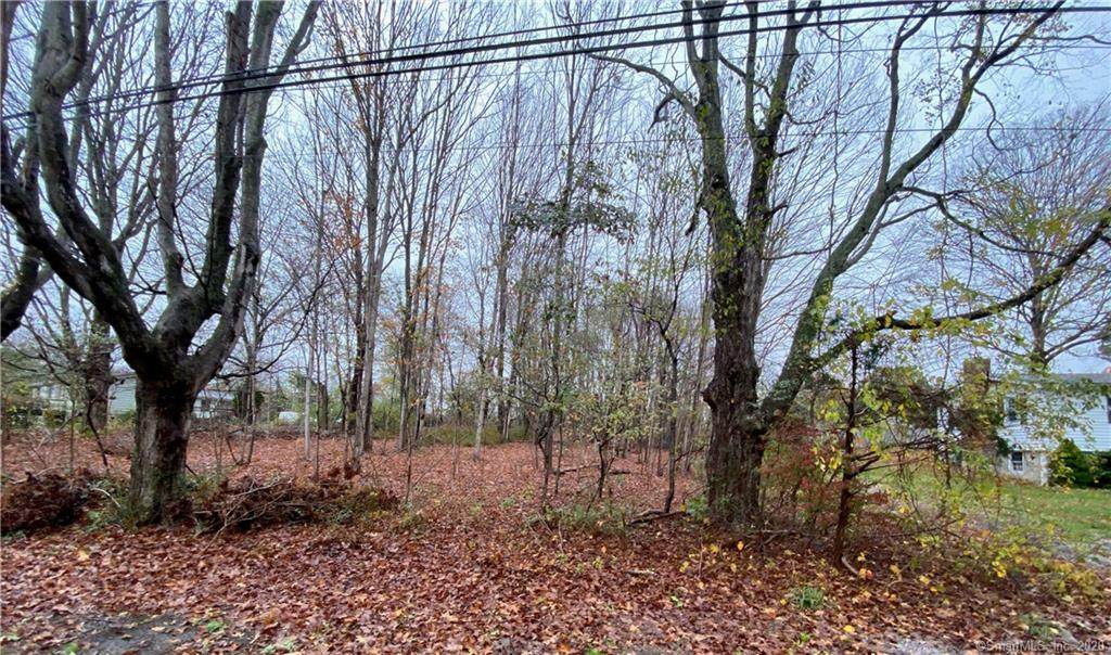 1033 East Lake Roads - Photo 1
