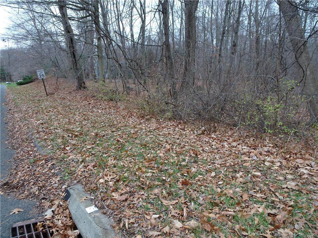 0 Mountain Laurel Way - Photo 1