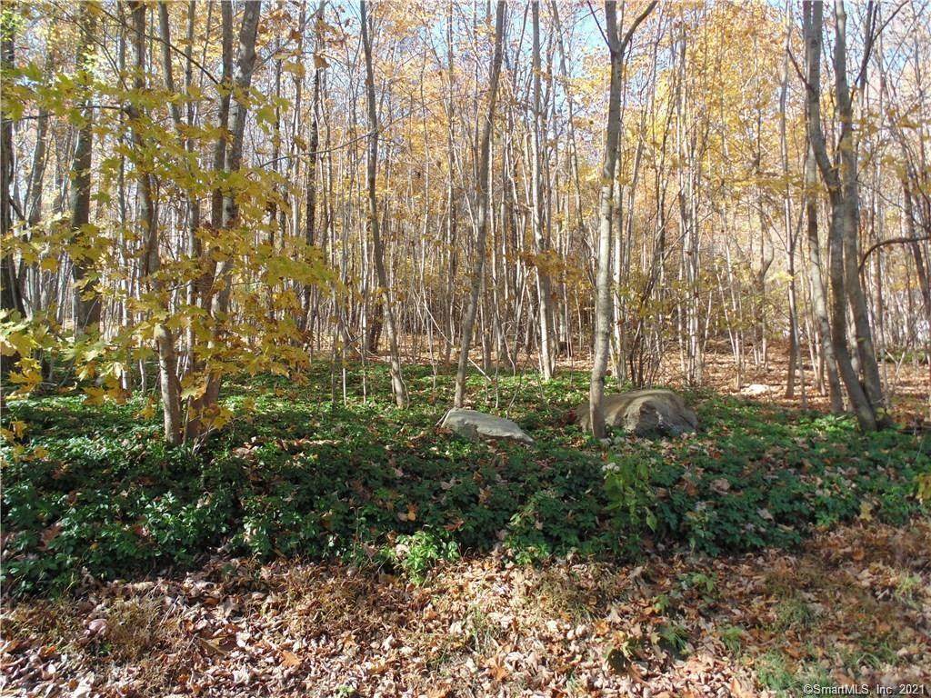 lot 6-9 Ashford Lake Drive - Photo 1