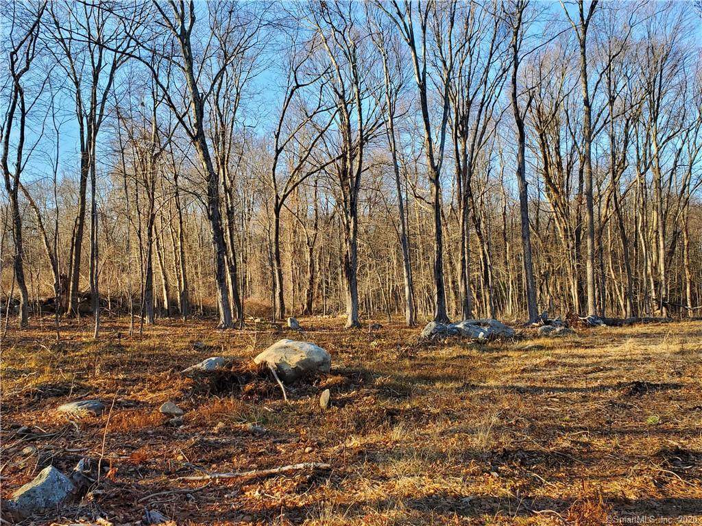Lot2 Campert Lane - Photo 1