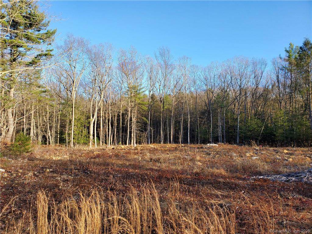 Lot 19A Lake Woods Lane - Photo 1
