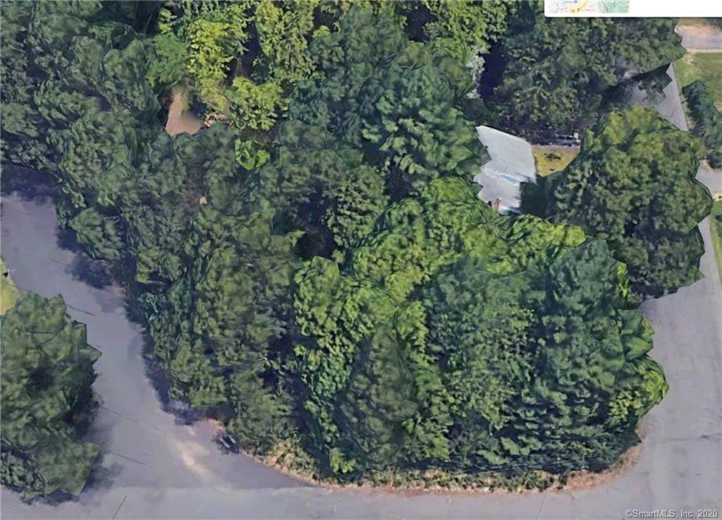 Lot 223 Arlington Street - Photo 1