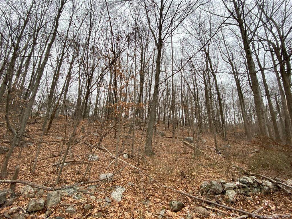 Lot 2 Shunpike Road - Photo 1