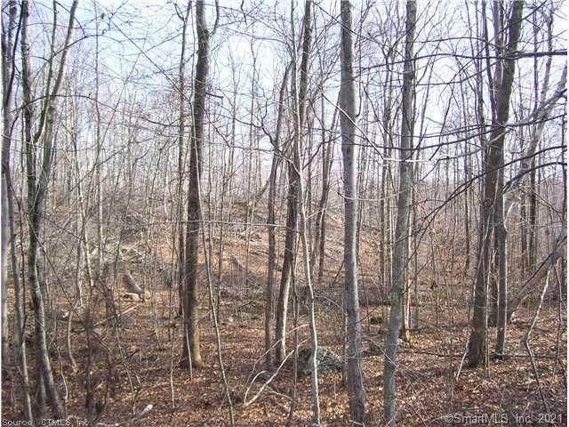 0 Shoddy Mill Road - Photo 1