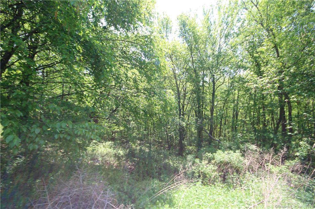 8 Trotters Way - Photo 1