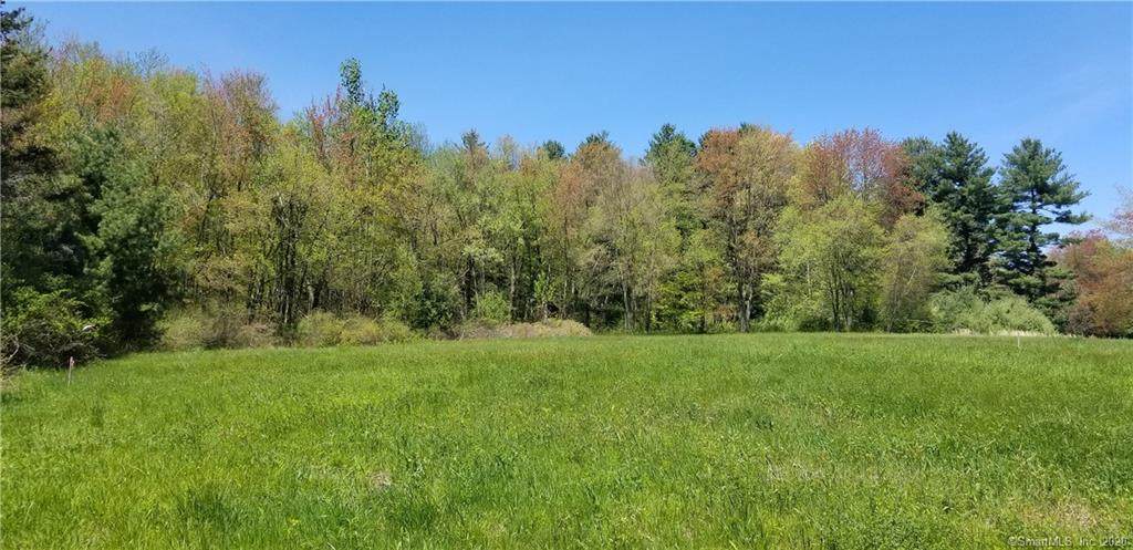80 Hoffman Road - Photo 1