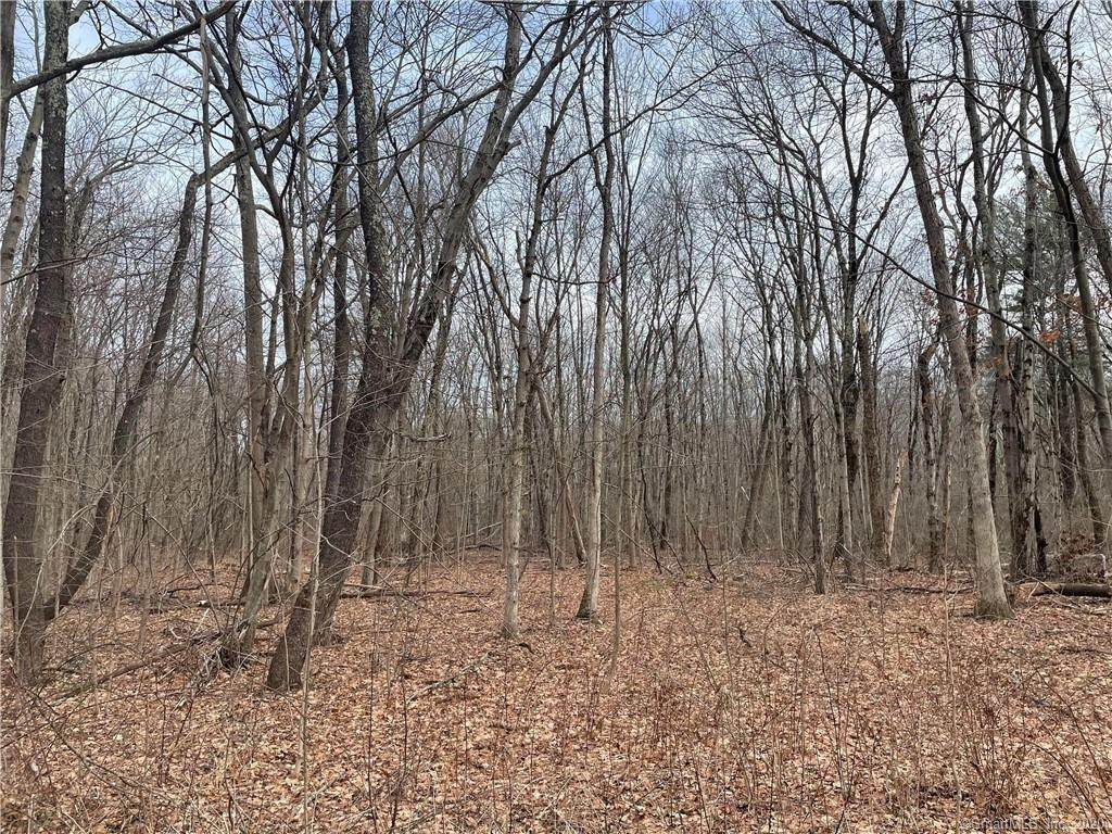 00 Sunset Lake Road - Photo 1