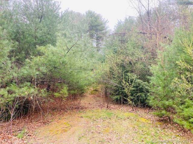 35 River Road - Photo 1