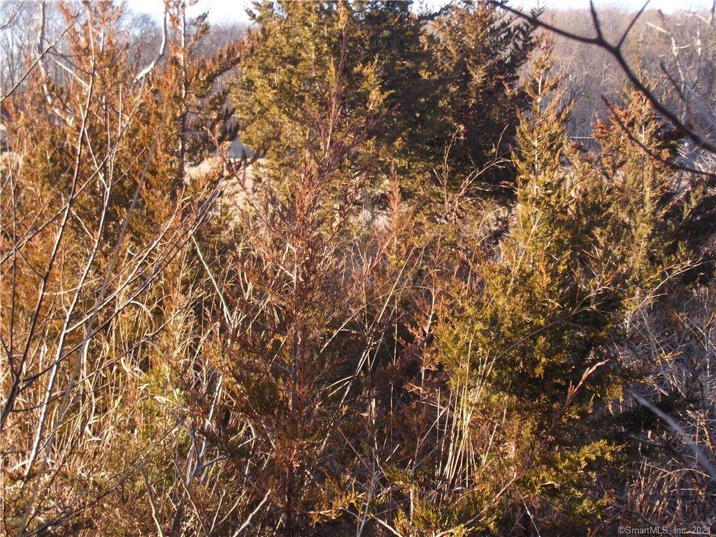 0 Hammock Road - Photo 1