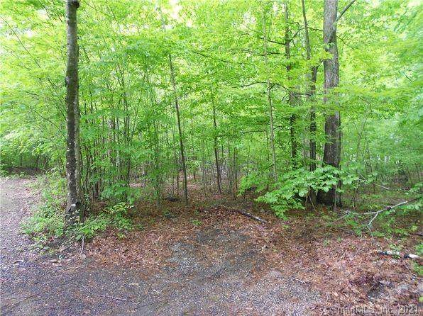 410 Pond Meadow Road - Photo 1