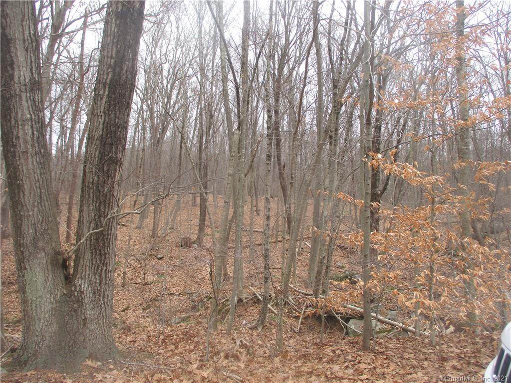 483 Birch Mountain Road - Photo 1