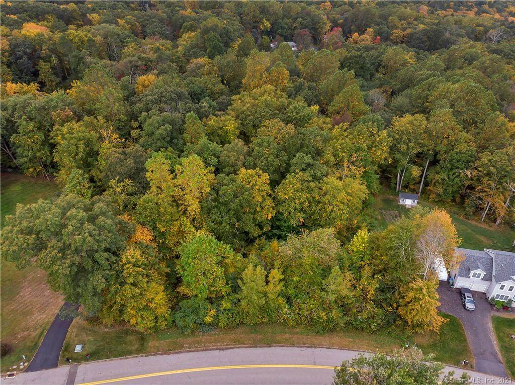 123 Comstock Trail - Photo 1