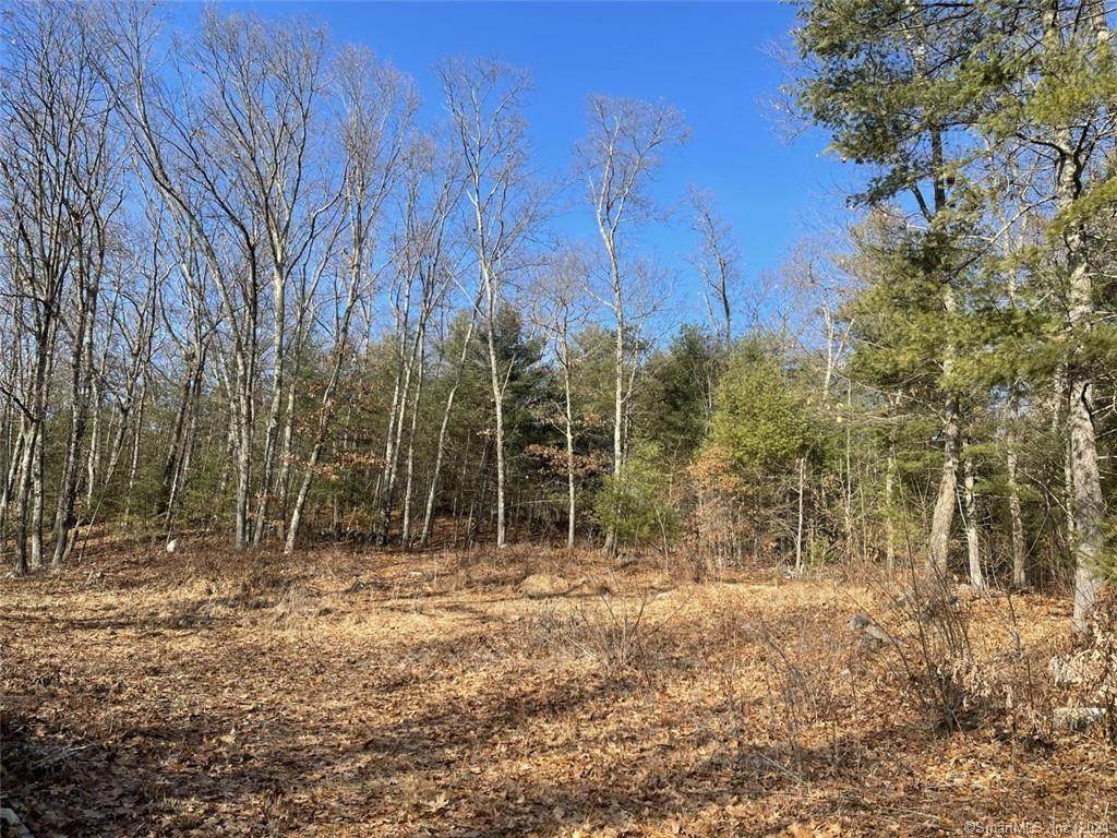 18 Waltham Avenue - Photo 1