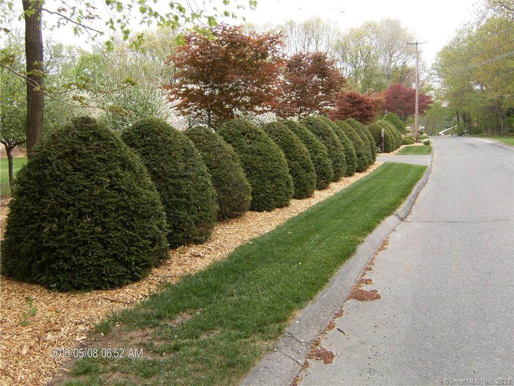 43 Hawthorne Drive - Photo 1