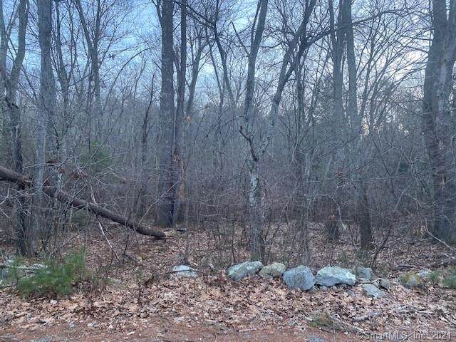 0 Plum Road - Photo 1