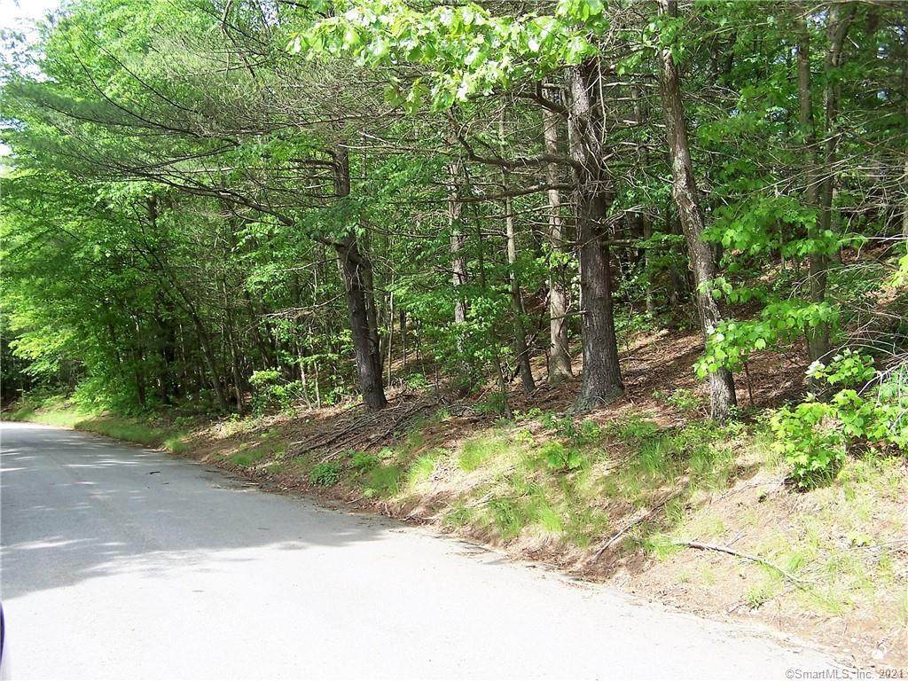 544 Windham Road - Photo 1