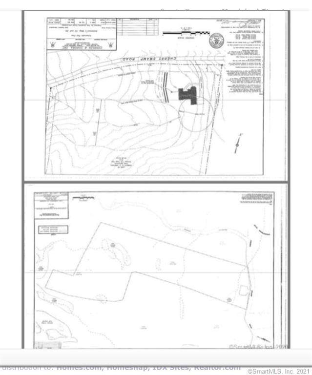 0 Cherry Swamp Rd - Photo 1