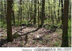 0 Bogue Road - Photo 1