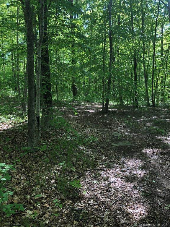 81B Skyline Drive - Photo 1