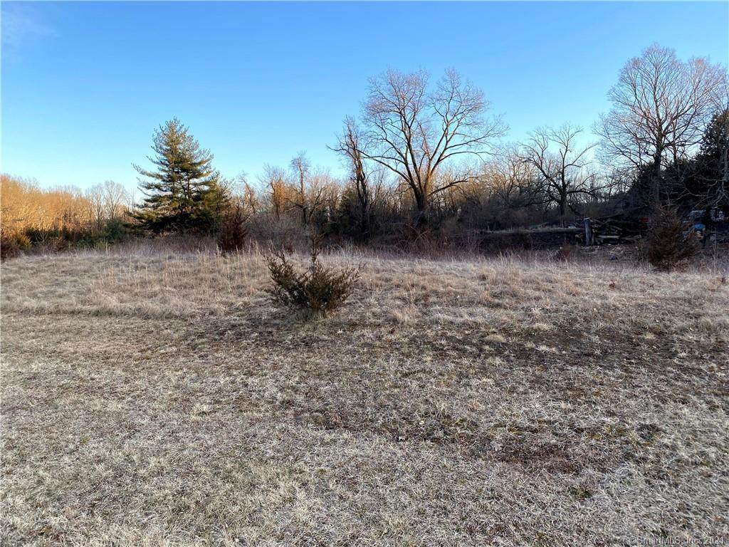 Lot 2 Mount Sanford Road - Photo 1
