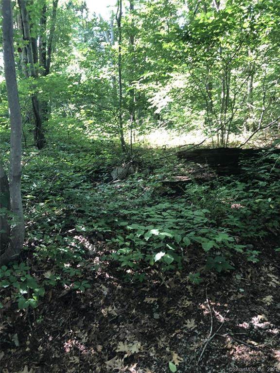 270 Old Colchester Road - Photo 1