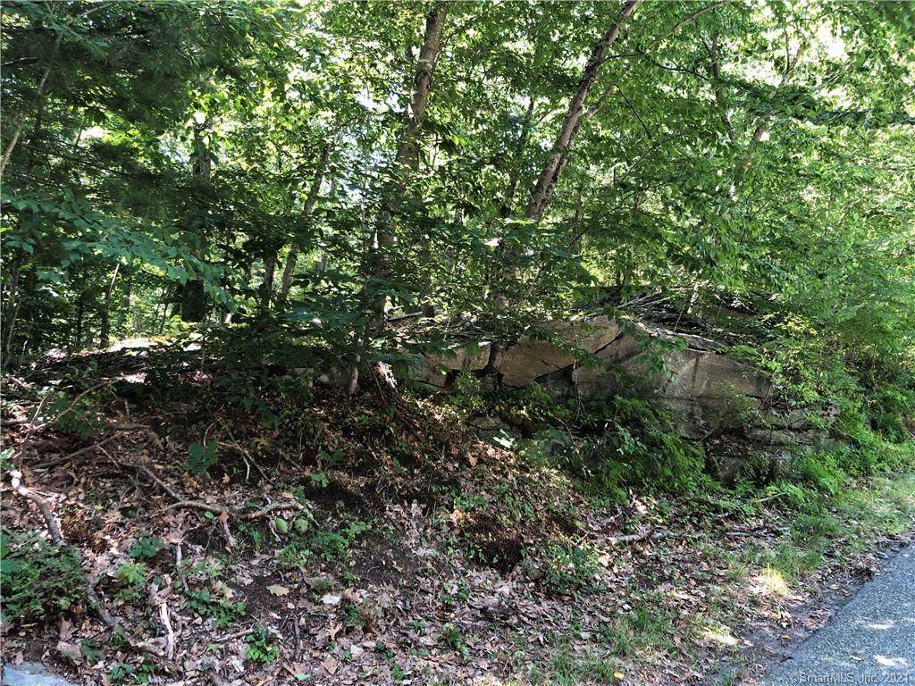 82-1-30 Cranberry Pond Road - Photo 1