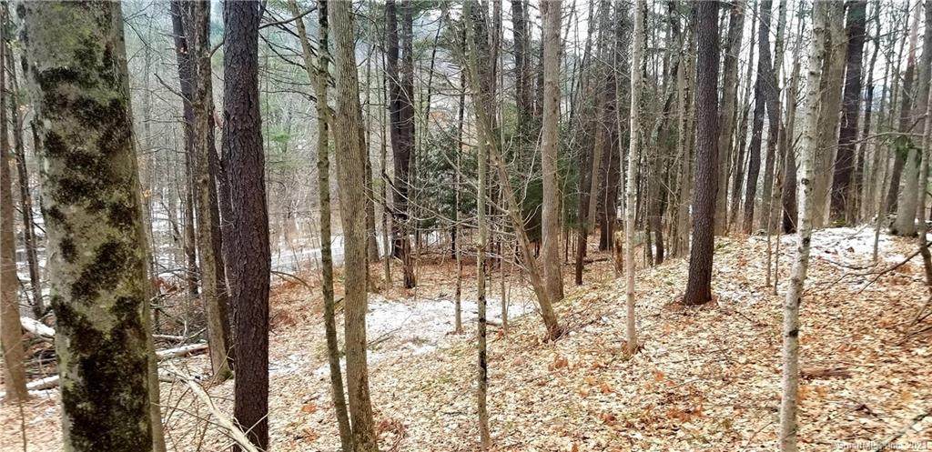 00 Route 63 Road - Photo 1