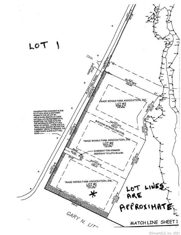 0 Platt Hill Lot 1 Road - Photo 1