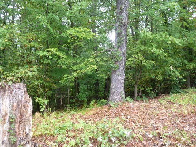 127 Holcomb Hill Road - Photo 1