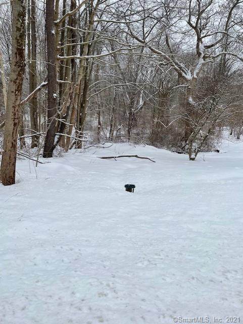 152 Pocono Road - Photo 1