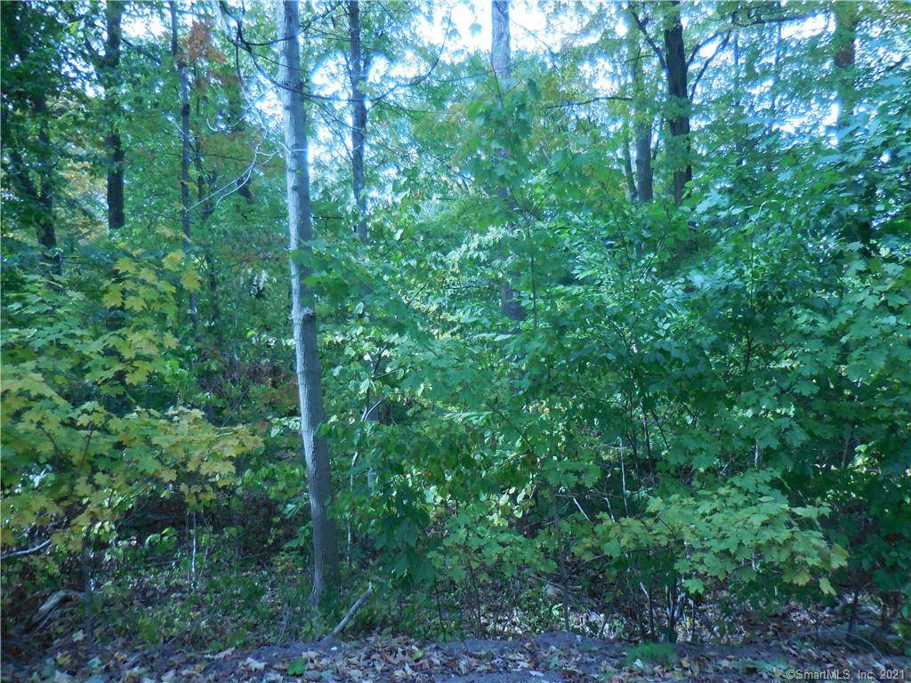 1167 Saybrook Road - Photo 1