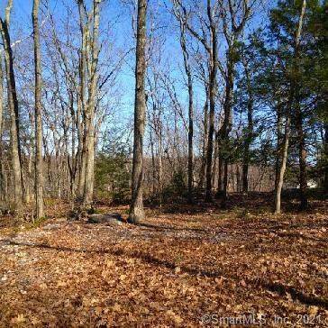 23 Lakeview Road - Photo 1