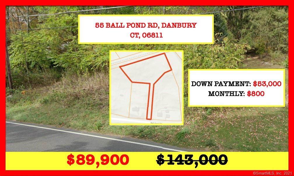 55 Ball Pond Road - Photo 1