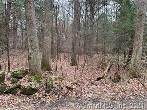 09A Brockway Road - Photo 1
