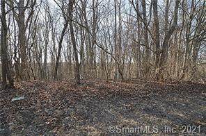 00 Usher Swamp Road - Photo 1