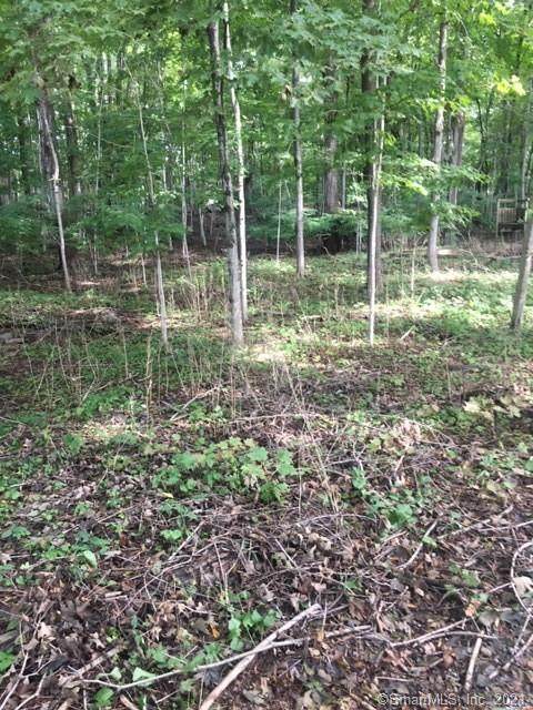 7 River Road - Photo 1
