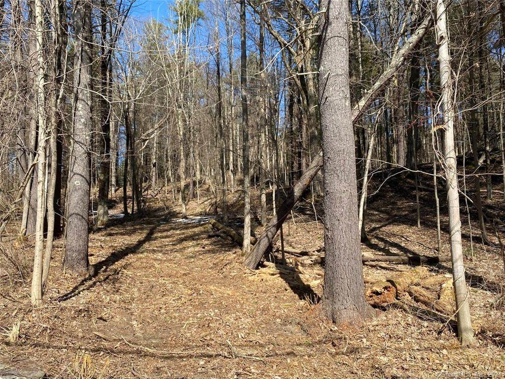 353 Twin Lakes Road - Photo 1