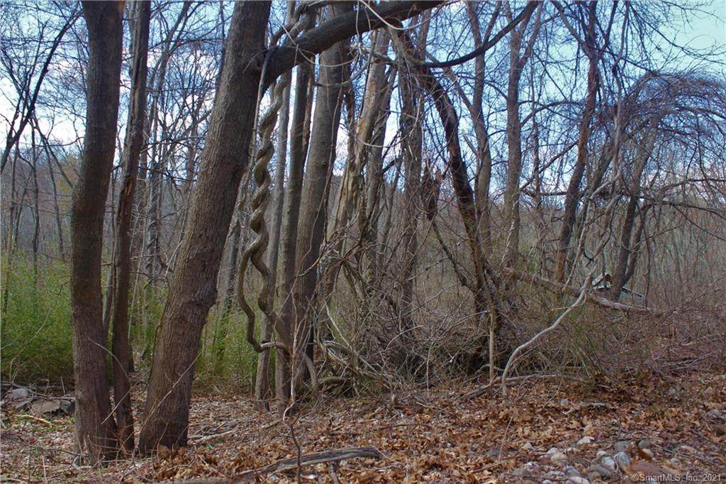 55 Fieldstone Lane - Photo 1