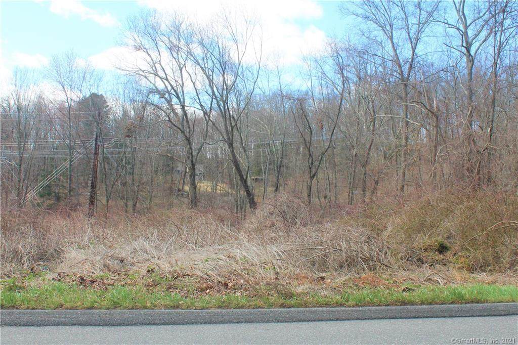 100 Rooster Tail Hollow - Photo 1